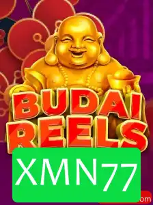 Explorando o Mundo de BudaiReelsBonusBuy: Um Mergulho nas Regras e no Impacto Atual